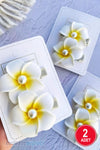 Beyaz Lotus Çiçeği Mandal Toka 2 li Plumeria Frangipani Çiçek Model